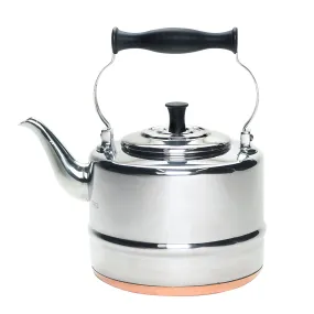 2-Quart Polished Stainless Steel Teakettle