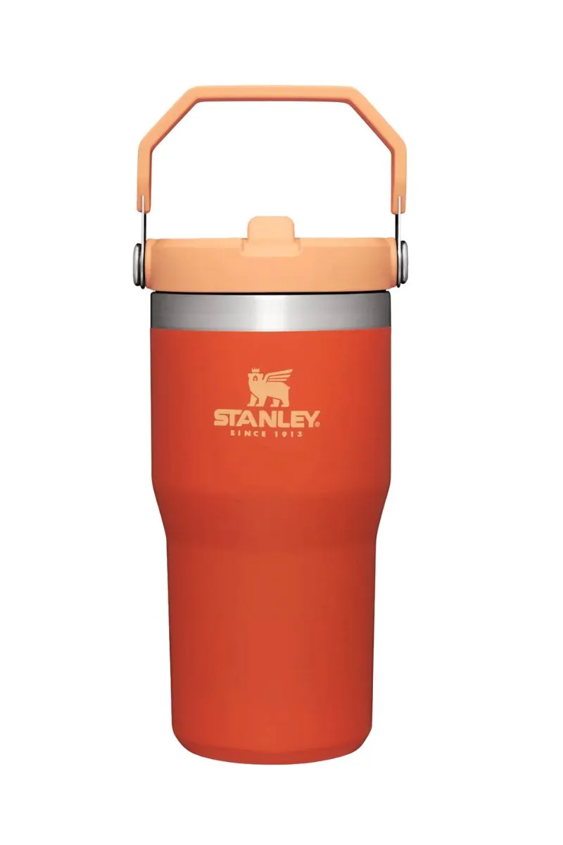 20 Oz. Classic Flip Straw Tumbler