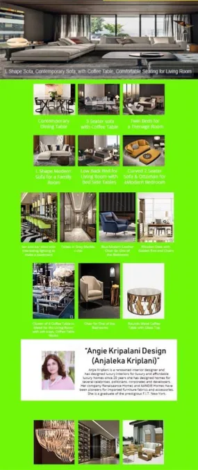 Angies modern interior design solutions 3