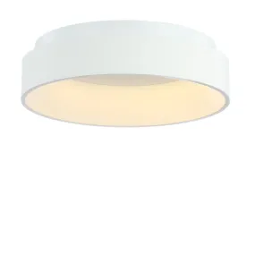 Daintree 17.7" Integrated LED Flush Mount Ceiling Light