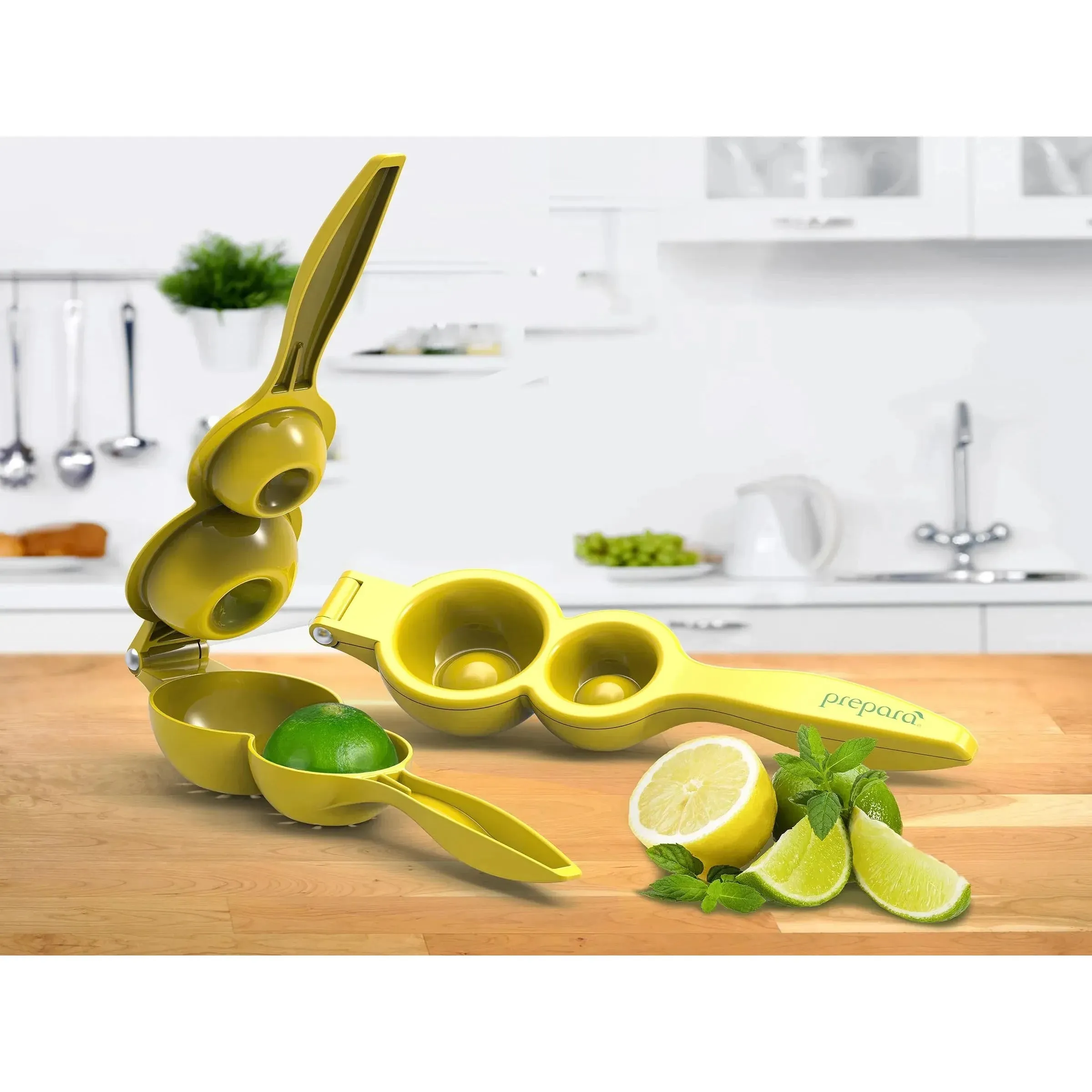 Double Squeezer Juicer