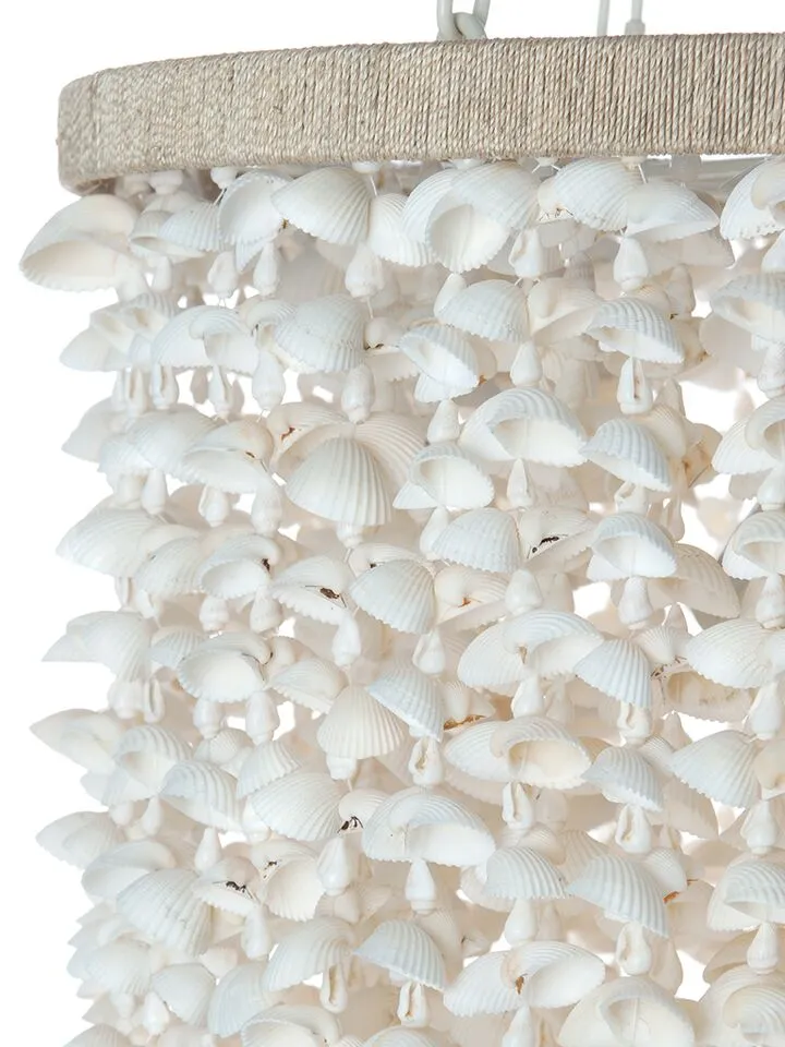 Drum Clamrose Seashell Pendant Lamp