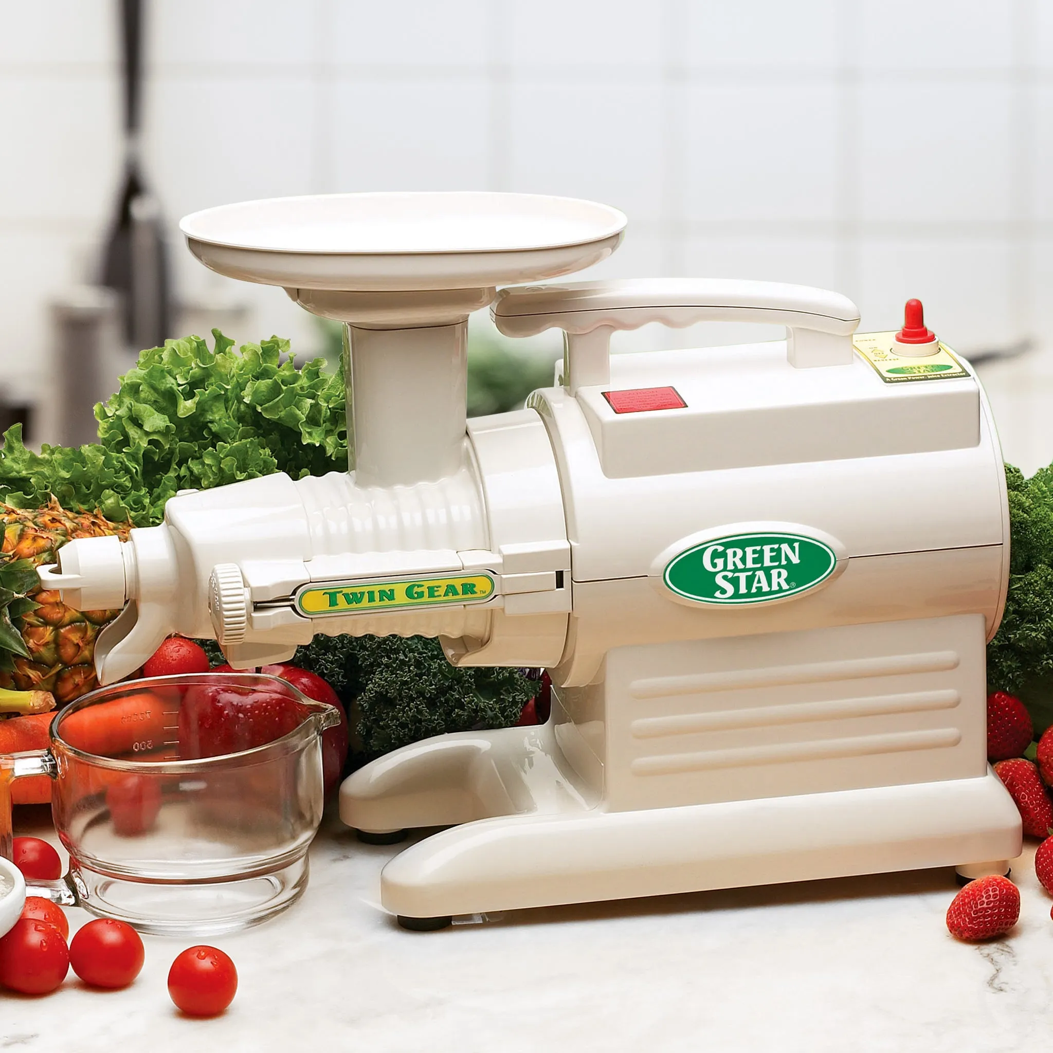 Greenstar® Original Refurbished Basic Twin Gear Slow Masticating Juicer