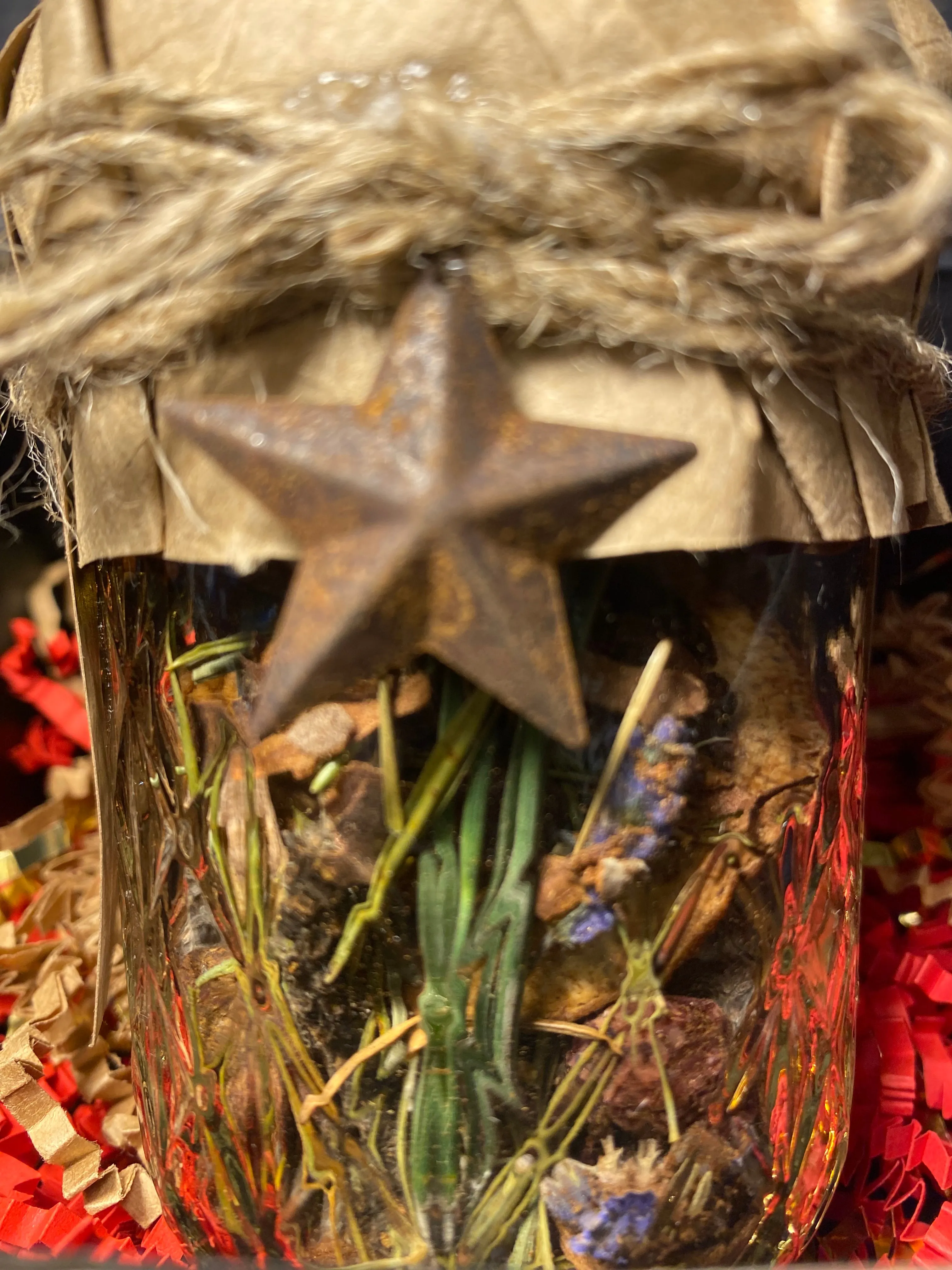 Homemade Holiday Stove Top Potpourri