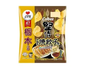 Kataage Chips: Gyoza