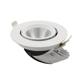 LED Adjustable High CRI Recessed Spotlight