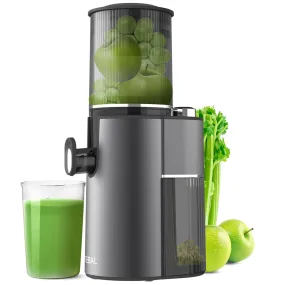 Masticating Juicer, Master Cold Press Juicer with 4.1-inch (104mm) Extra Large Rotary Feed Chute