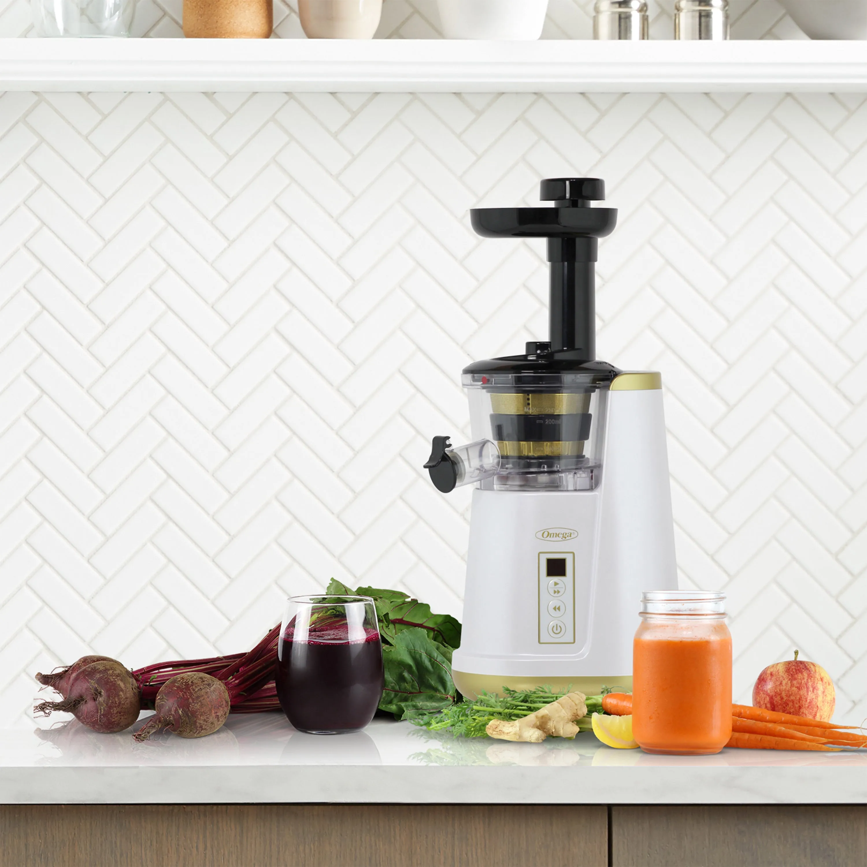 Omega Vertical Cold Press Compact Masticating Juicer