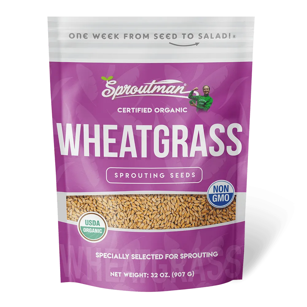 Organic Wheatgrass Sprouting Seed