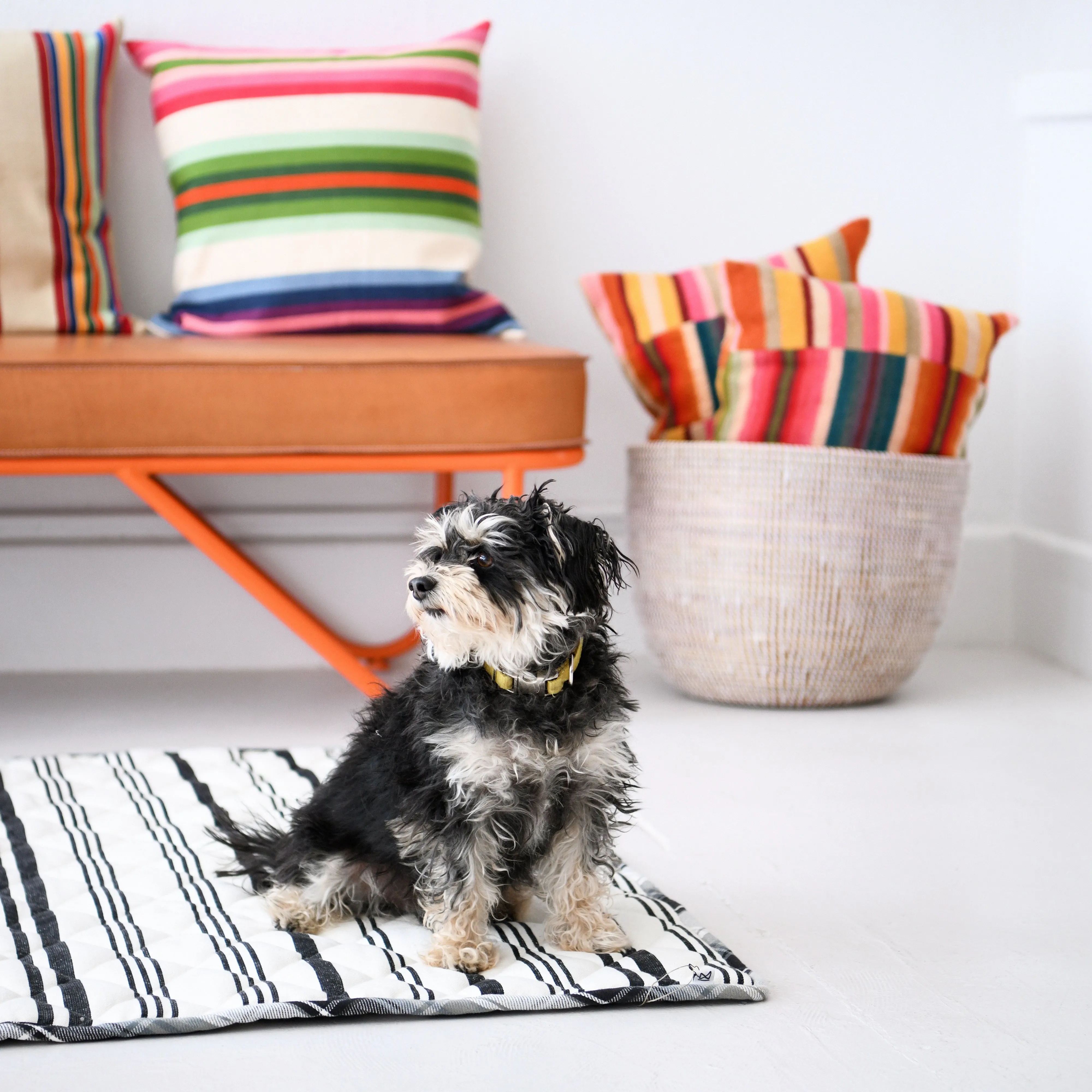 Pet Quilt - Cream   Charcoal Stripe