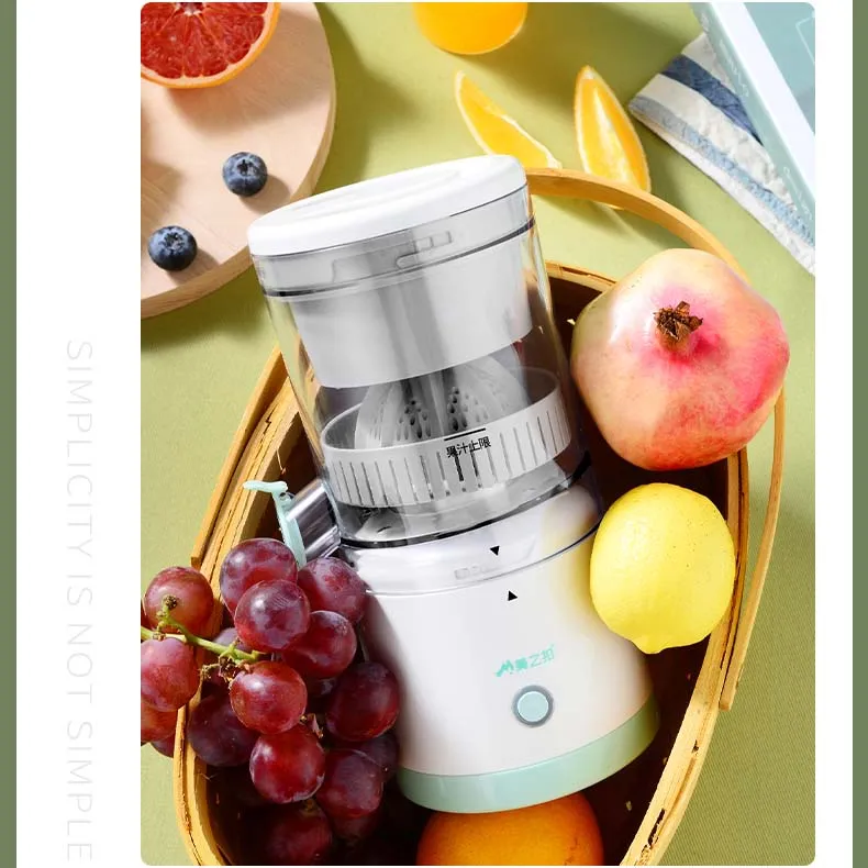 Portable Fruit Juicer