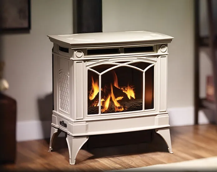 REGENCY H35 Hampton Direct Vent Gas Stove