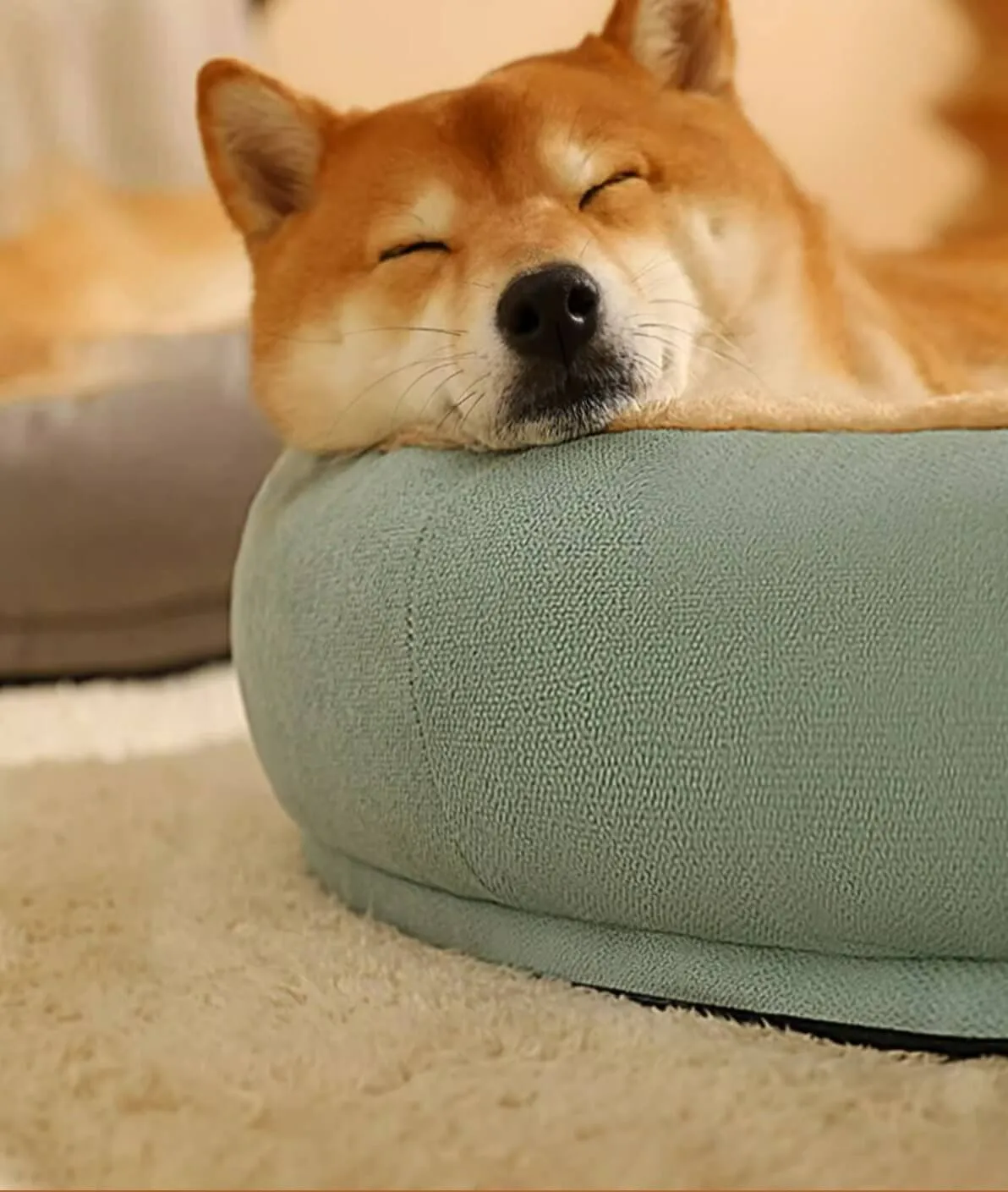 Super Soft Cozy Pet Bed Mattress for Medium Large Dogs 3colors