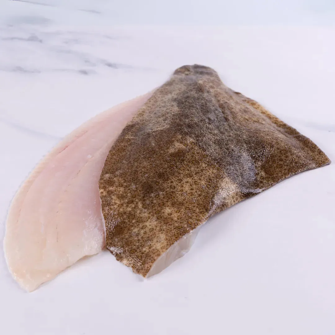 Turbot